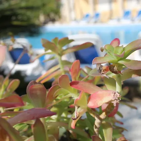 Bed & Breakfast Cosy Sun-splashed Bedroom - Pansion Hajduk Korčula